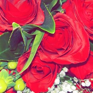 Meet your Posher, Kay